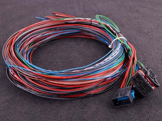 1763u002du002dmaxxecu_street_harnessu002du002d01